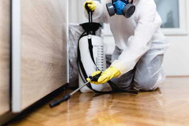 Best Insect Control  in Willits, CA