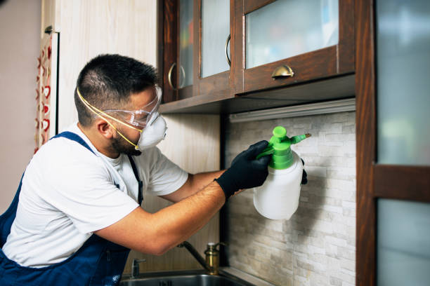 Best Pest Control Near Me  in Willits, CA