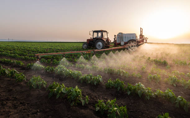 Best Commercial Pest Control Services  in Willits, CA