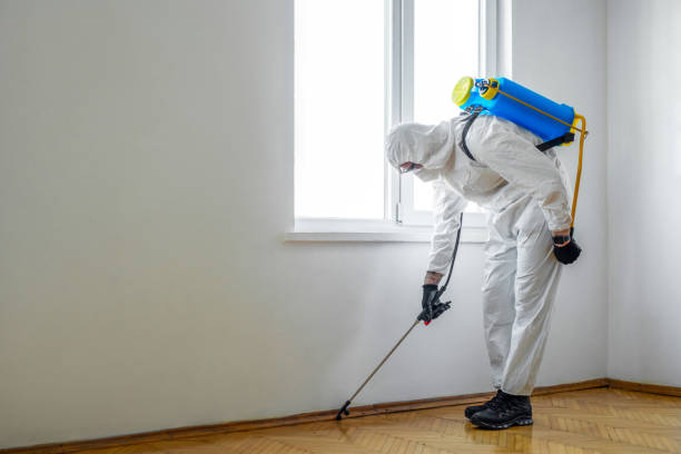 Best Pest Prevention Services  in Willits, CA