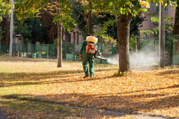 Best Affordable Exterminators  in Willits, CA