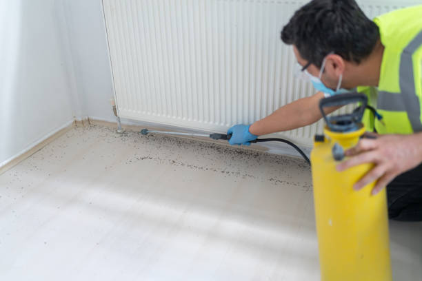 Best Cockroach Control Services  in Willits, CA